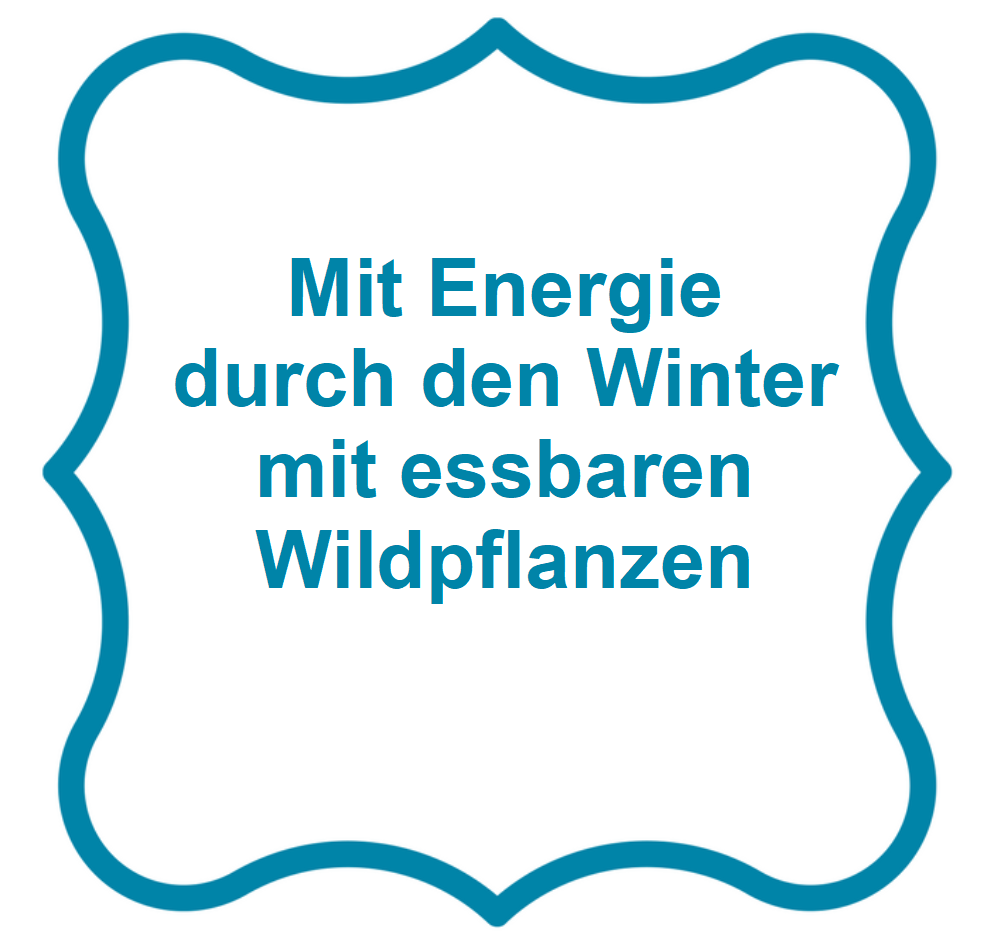 Mit Energie durch den Winter mit essbaren Wildpflanzen